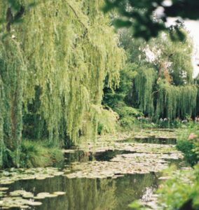 Read more about the article Το σπίτι του Μονέ στο Giverny